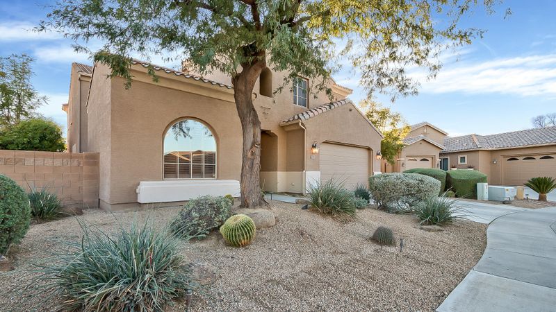 2797 E Desert Broom Pl, Chandler, AZ 85286