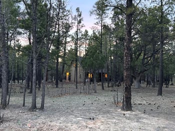 2799 Apache Dr, Happy Jack, AZ 86024