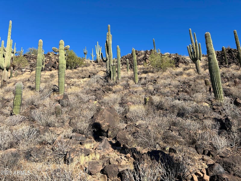 27xx Maddock Rd #-, Phoenix, AZ 85086