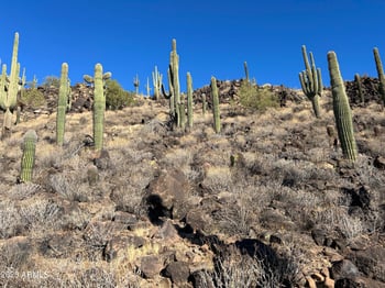 27xx Maddock Rd #-, Phoenix, AZ 85086