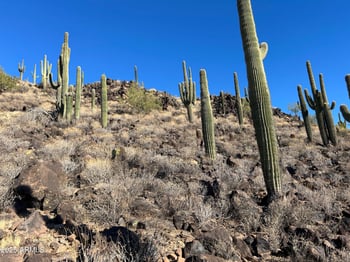 27xx Maddock Rd #-, Phoenix, AZ 85086