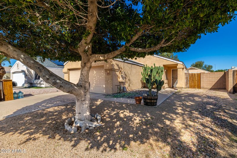 2816 W Angela Dr, Phoenix, AZ 85053