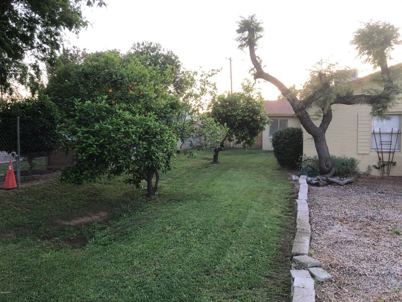 2818 N 31st St, Phoenix, AZ 85008