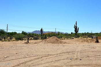 28282 158th St, Scottsdale, AZ 85262