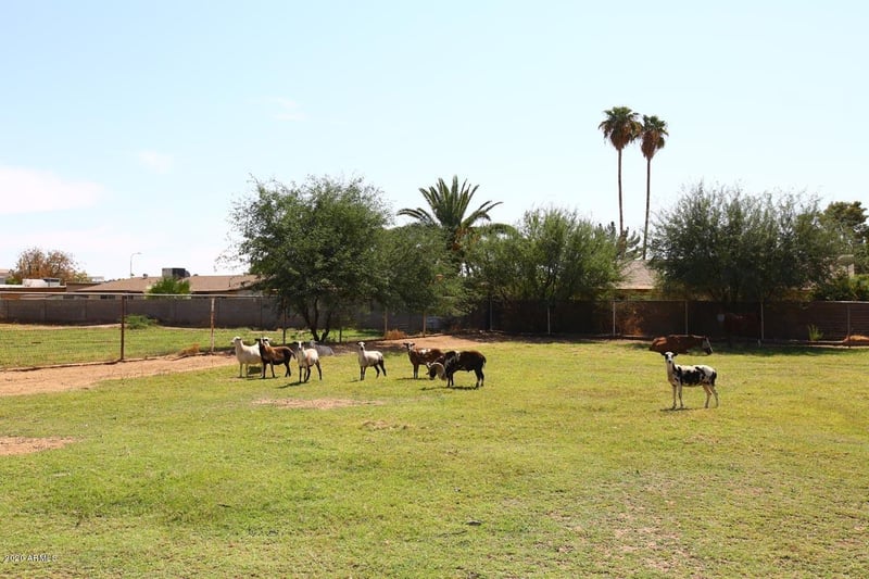 2835 W Belmont Ave, Phoenix, AZ 85051