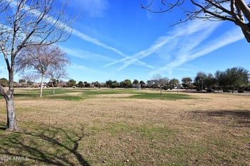 2841 Camellia Dr, Chandler, AZ 85286