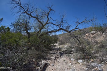 285 AC Calle 21 -- #-, Hereford, AZ 85615