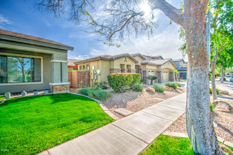 285 W Seagull Pl, Chandler, AZ 85286