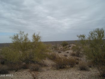 28700 Dove Valley Rd #6 Parcels, Unincorporated County, AZ 85361