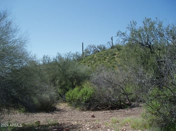 28700 Joy Ranch Rd #-, Unincorporated County, AZ 85361