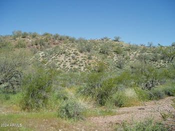 28700 Joy Ranch Rd #-, Unincorporated County, AZ 85361
