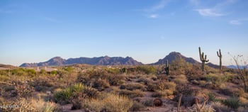 28787 114th St #N & P, Scottsdale, AZ 85262