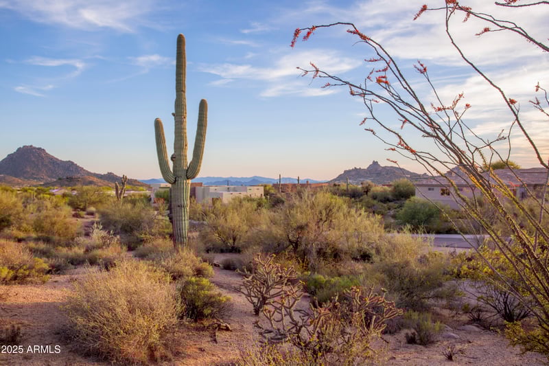 28787 114th St #N & P, Scottsdale, AZ 85262