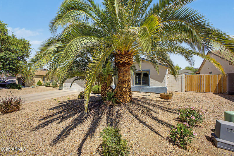 2894 Hidalgo St, Apache Junction, AZ 85120