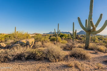 28990 N White Feather Ln #158, Scottsdale, AZ 85262