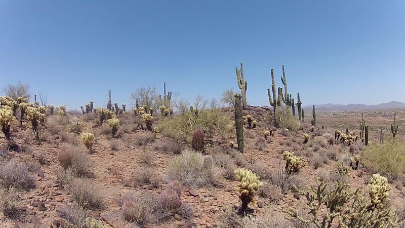 2900 Carlise Rd, Phoenix, AZ 85086
