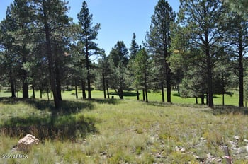 2900 Solitaires Canyon Dr #345, Flagstaff, AZ 86005