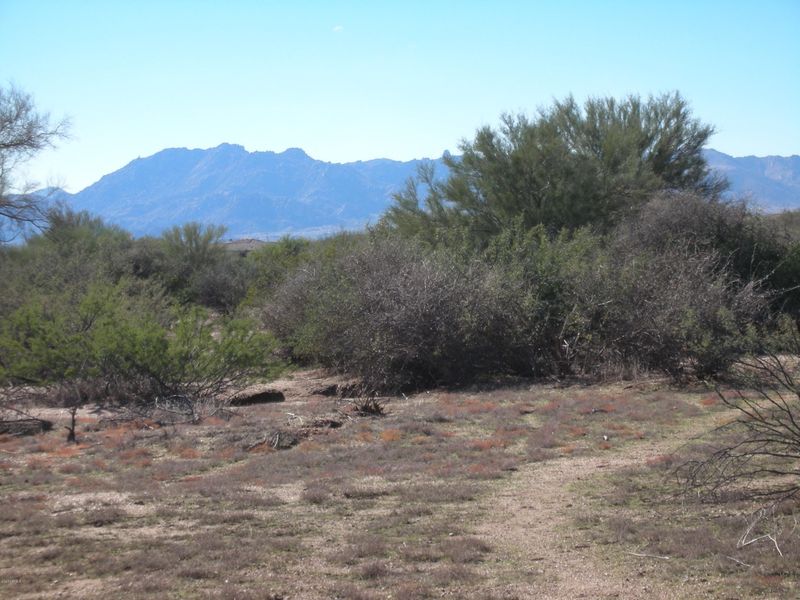 29105 N 172nd St E #1, Rio Verde, AZ 85263
