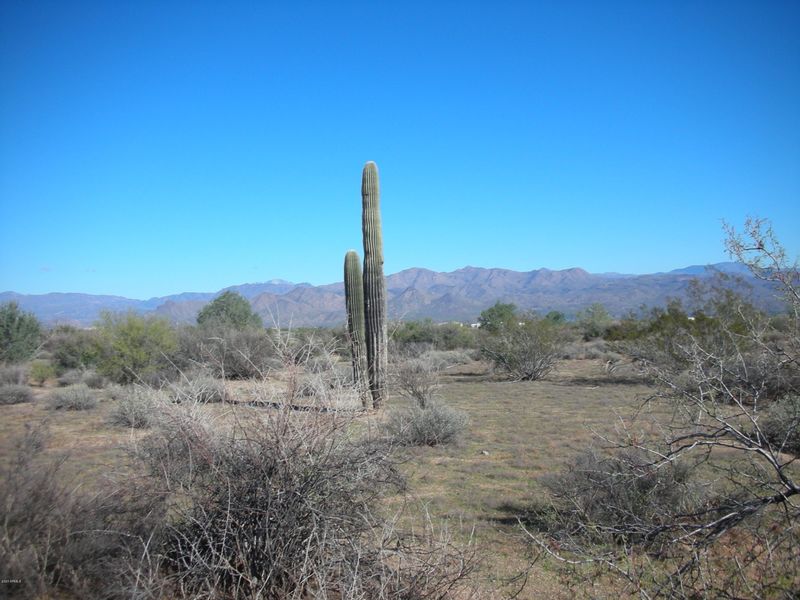 29105 N 172nd St E #1, Rio Verde, AZ 85263