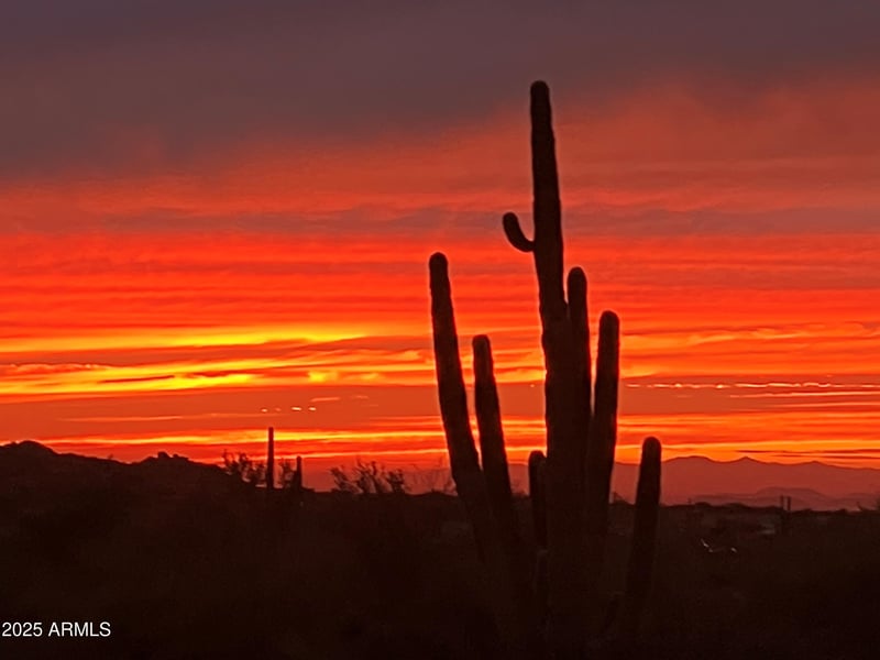 29125 114th St, Scottsdale, AZ 85262