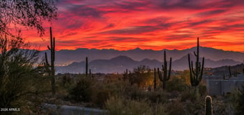 29125 114th St, Scottsdale, AZ 85262