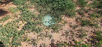 2914 San Xavier Rd, Sierra Vista, AZ 85635