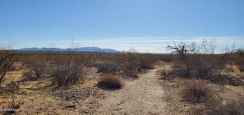 29150 Radford Rd #82, Unincorporated County, AZ 85361