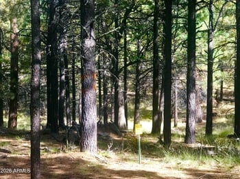 292 Squirrels Nest Ln #11, Payson, AZ 85541