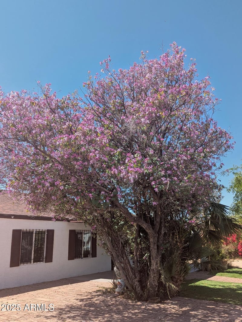 2923 Wahalla Ln, Phoenix, AZ 85050