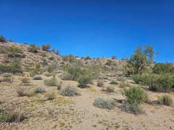 29240 Ashler Hills Dr #107, Wittmann, AZ 85361