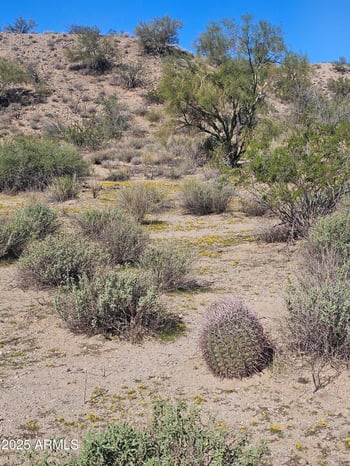 29240 Ashler Hills Dr #107, Wittmann, AZ 85361