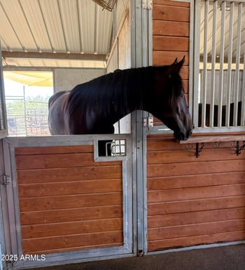 29255 82nd St, Scottsdale, AZ 85266