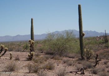 29299 Villa Cassandra Way #3-19, Unincorporated County, AZ 85361