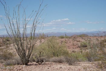 29299 Villa Cassandra Way #3-19, Unincorporated County, AZ 85361