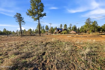 2935 Buckskin Canyon Rd, Heber, AZ 85928