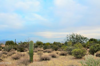 29404 166th Way #-, Scottsdale, AZ 85262