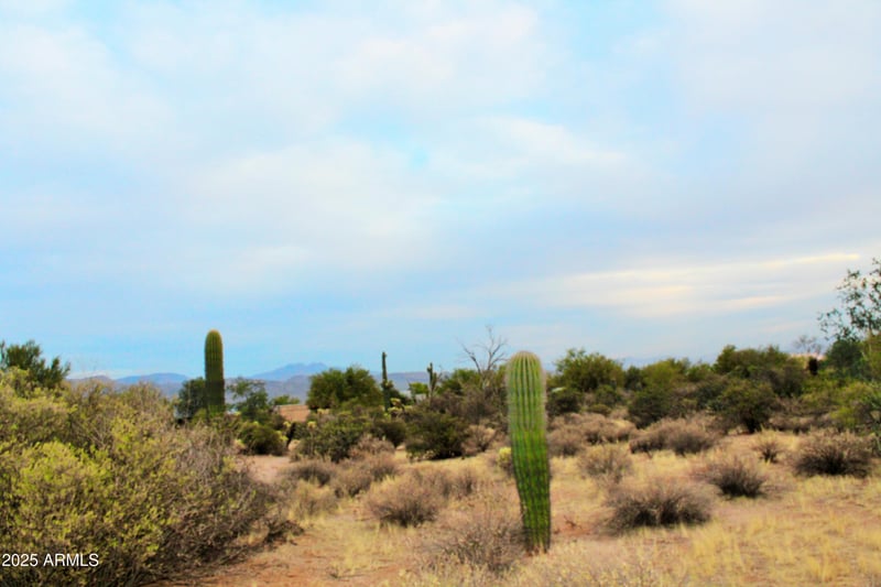29404 166th Way #-, Scottsdale, AZ 85262