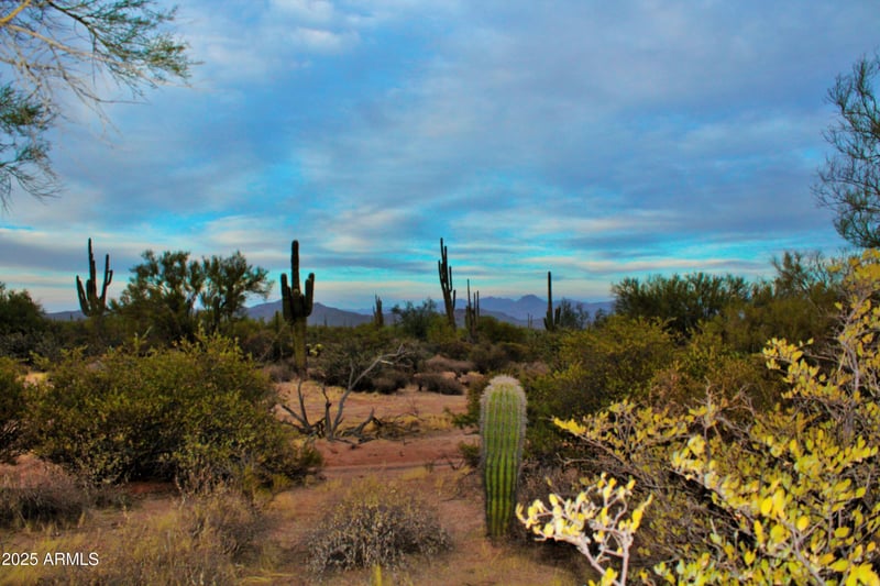 29404 166th Way #-, Scottsdale, AZ 85262