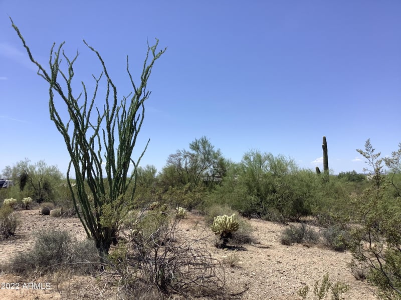 29430 N 76th St #2, Scottsdale, AZ 85266