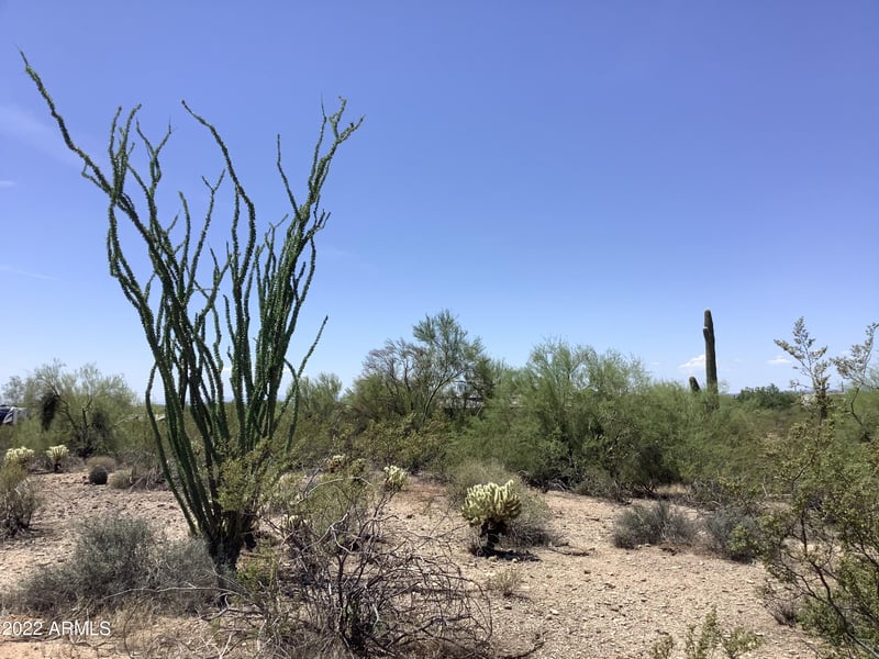29430 N 76th St #2, Scottsdale, AZ 85266