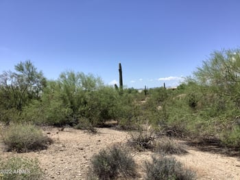 29430 N 76th St #2, Scottsdale, AZ 85266
