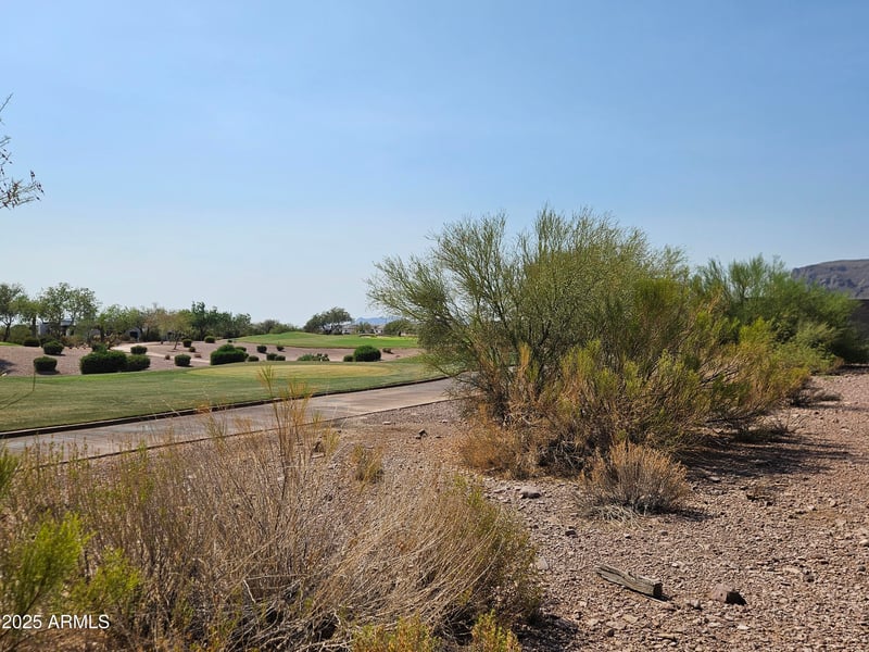 2946 Petroglyph Trl #62, Gold Canyon, AZ 85118
