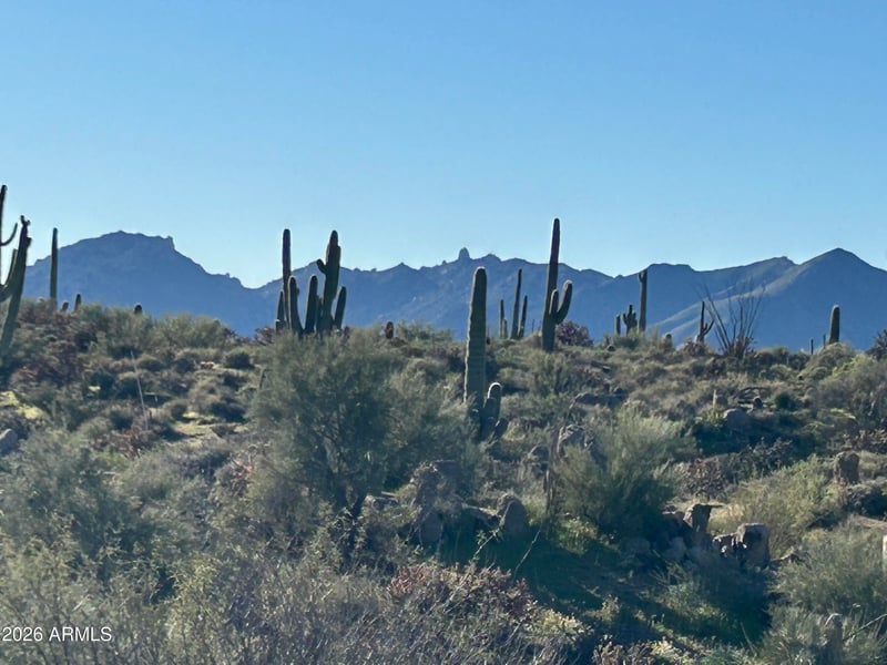 29503 111th Way #19, Scottsdale, AZ 85262