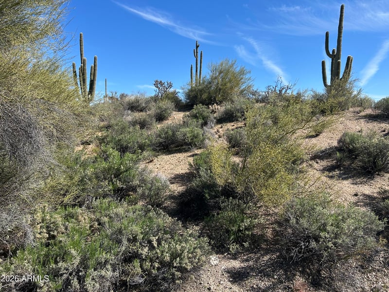 29503 111th Way #19, Scottsdale, AZ 85262