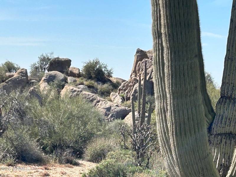 29503 111th Way #19, Scottsdale, AZ 85262