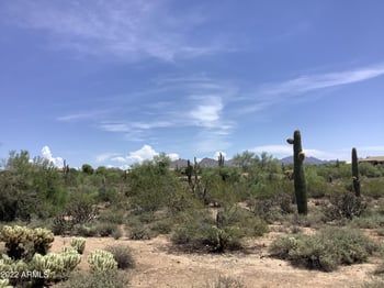 29628 76th St #5, Scottsdale, AZ 85266