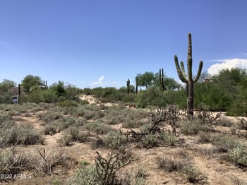 29628 76th St #5, Scottsdale, AZ 85266