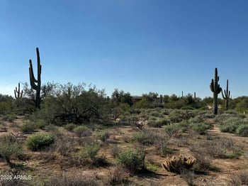 29628 76th St #5, Scottsdale, AZ 85266