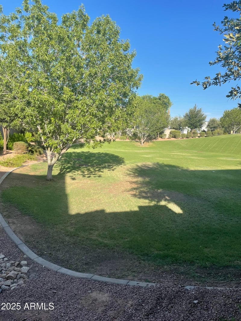 2969 Colorado St, Chandler, AZ 85286