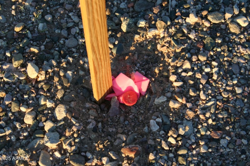 297x 355th Ave #TBD, Tonopah, AZ 85354